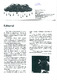 Chuva de Letras, Ano 1, Nº 1, Mar. 2000_ocred.pdf.jpg