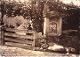 Antas- 1930- Alminhas- junto à casa das Almas.jpg.jpg