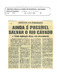 09_08_1986_JornaldeNoticias.pdf.jpg